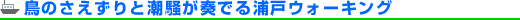 ���̂�������ƒ������t�ł�Y�˃E�H�[�L���O