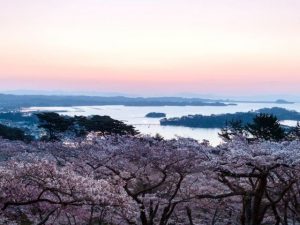 西行戻しの松