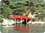 Ojima